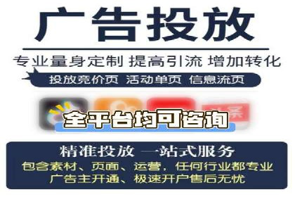 专业SEM服务托管方案案例分析